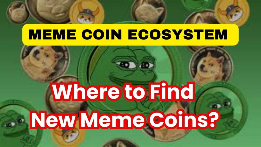 Meme Coin Ecosystem
