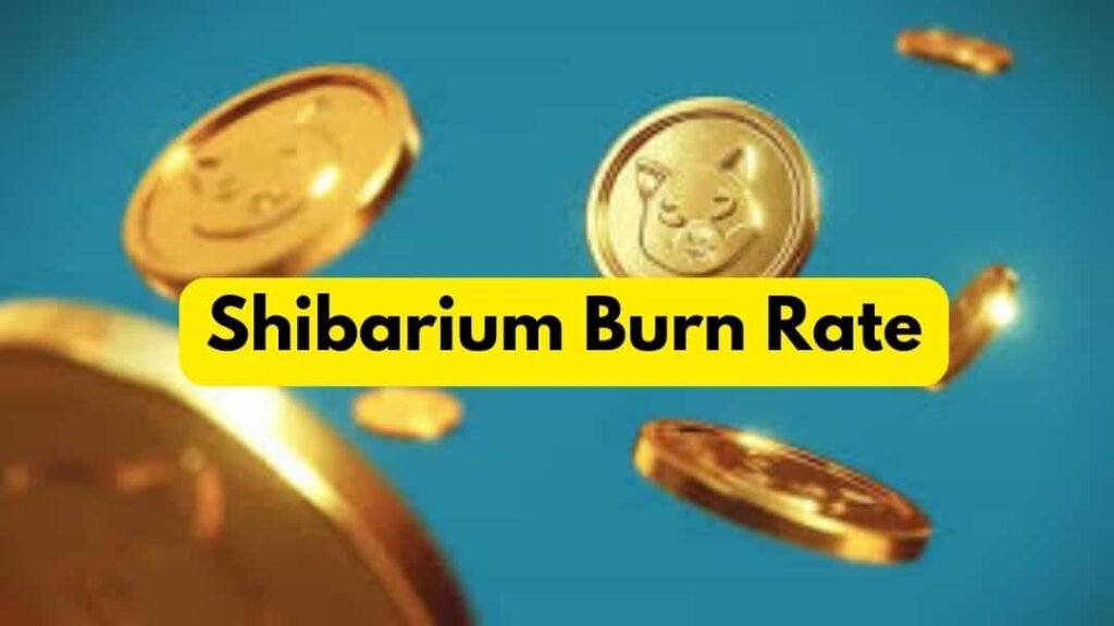 Shibarium Burn Rate