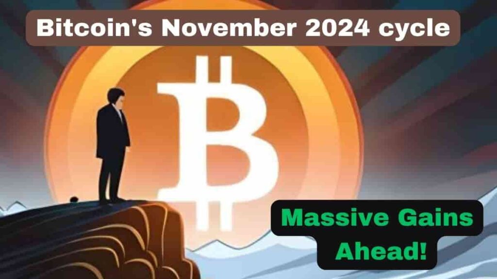 Bitcoin's November 2024 cycle
