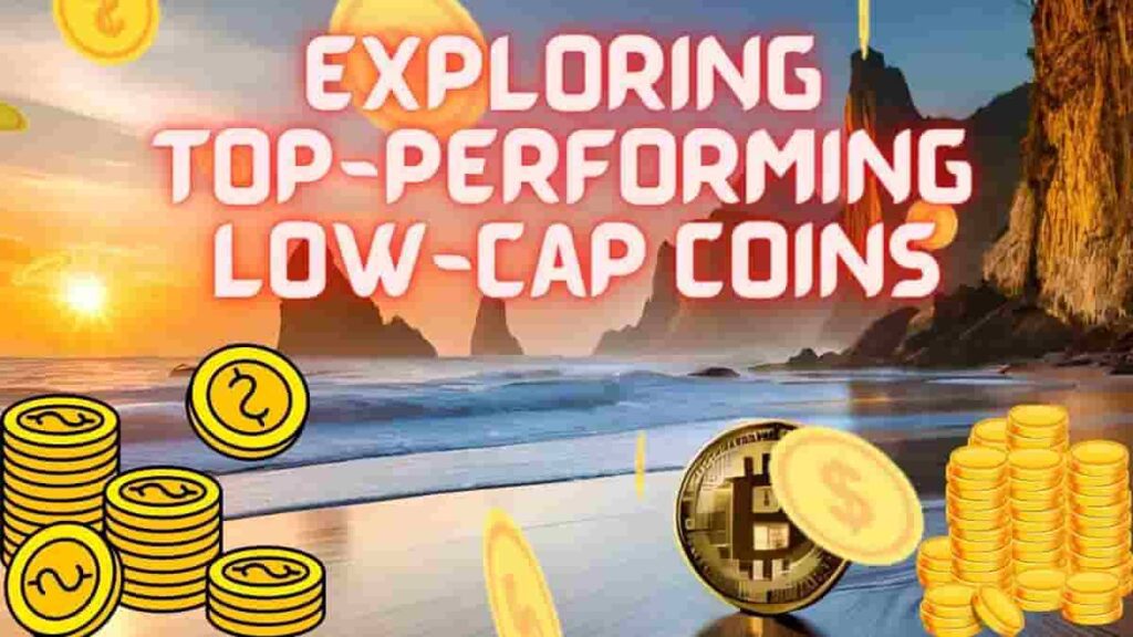Cryptocurrency Volatility : Exploring Top-Performing Low-Cap Coins