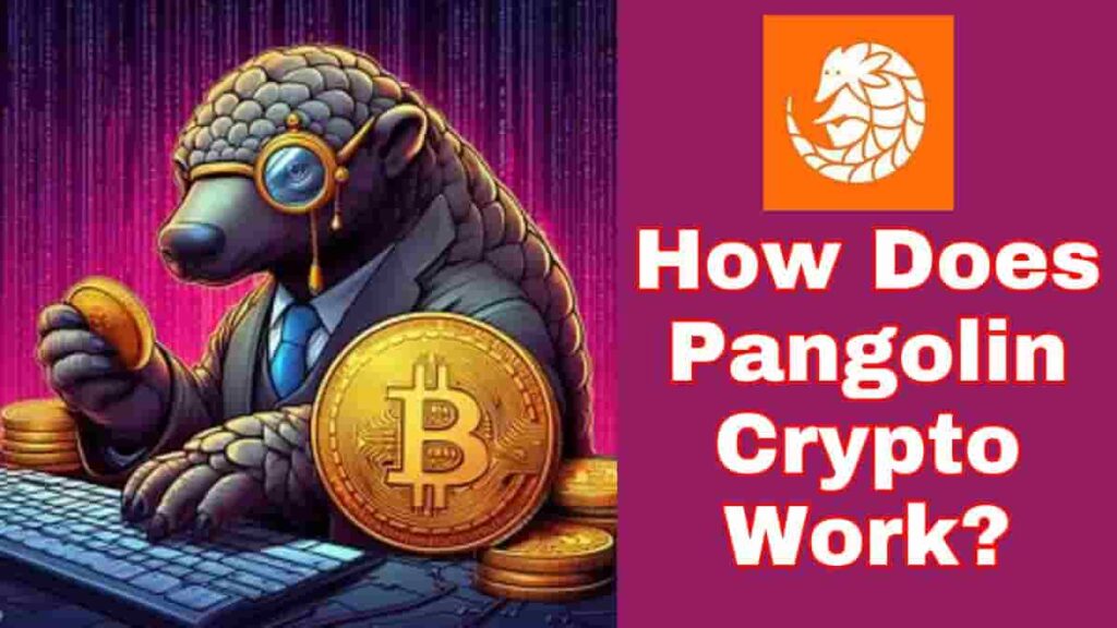 How Does Pangolin Crypto Work