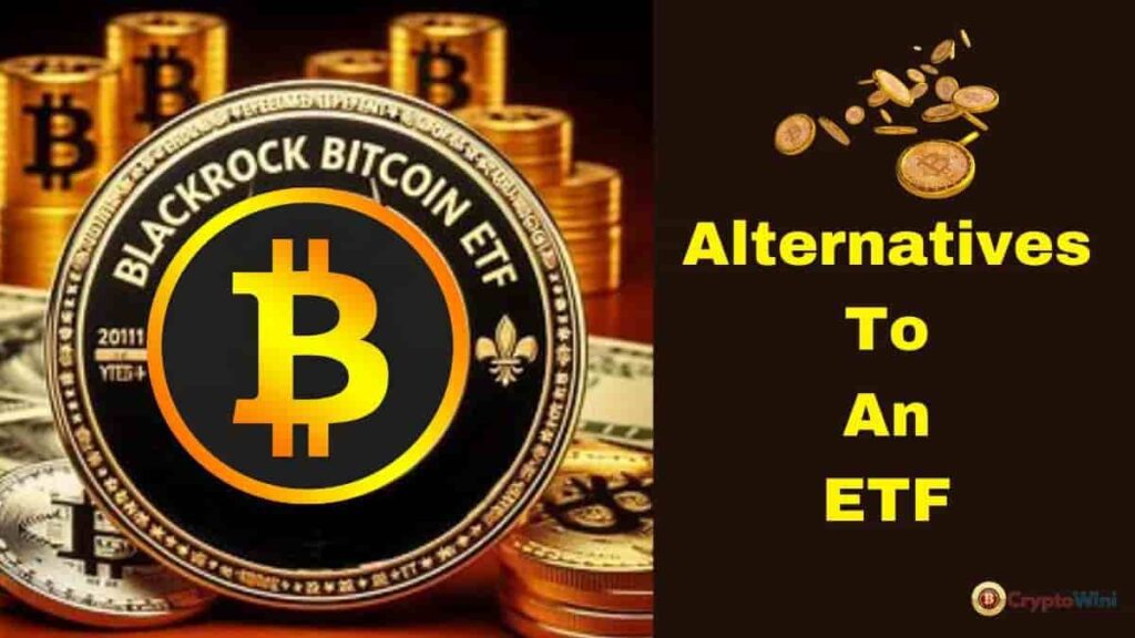 BlackRock Bitcoin Spot ETF: Alternatives To An ETF