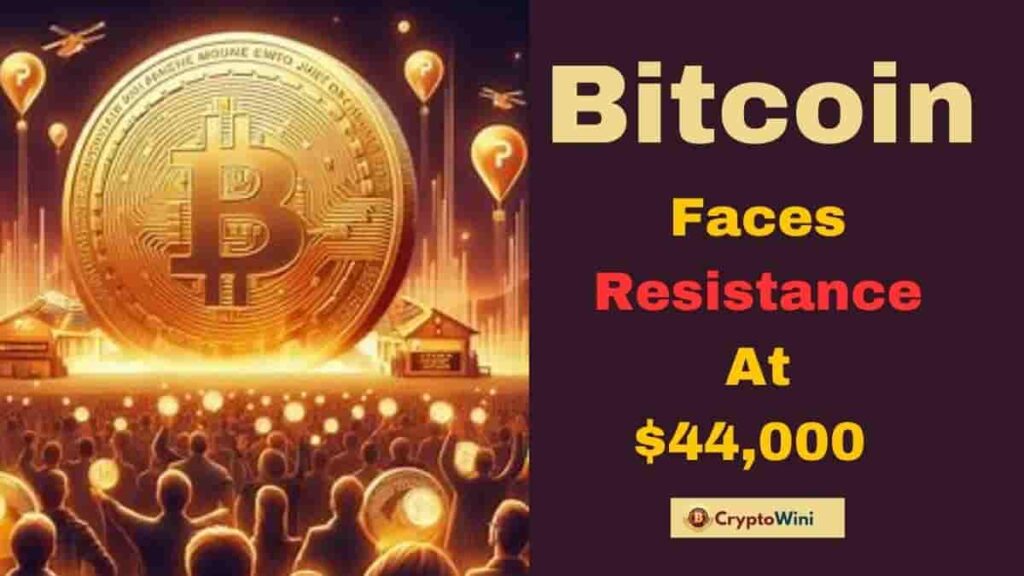 Crypto Rally :Bitcoin Faces Resistance at $44,000