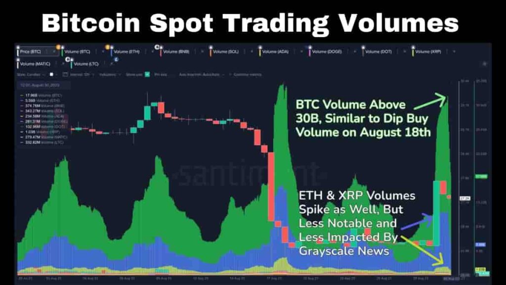 Bitcoin spot trading volumes CryptoWini