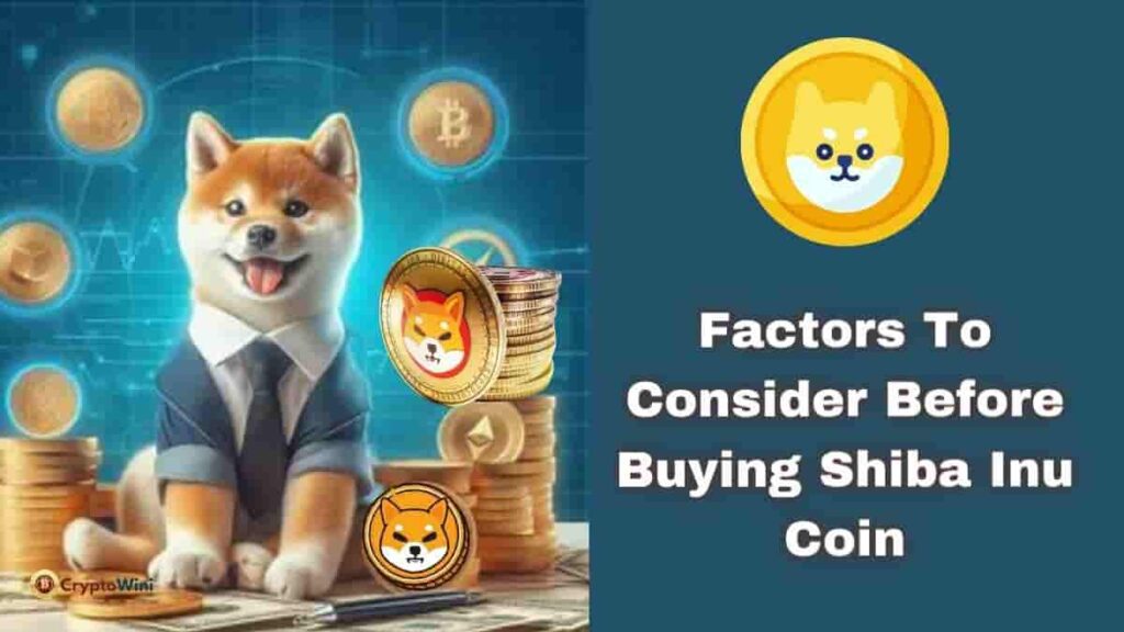 Factors to Consider Before Buying Shiba Inu Coin