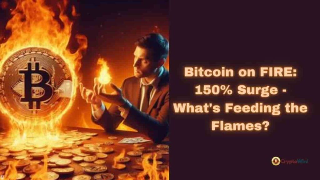 Fueling the Fire  Why Bitcoin is Up by Almost 150% This Year