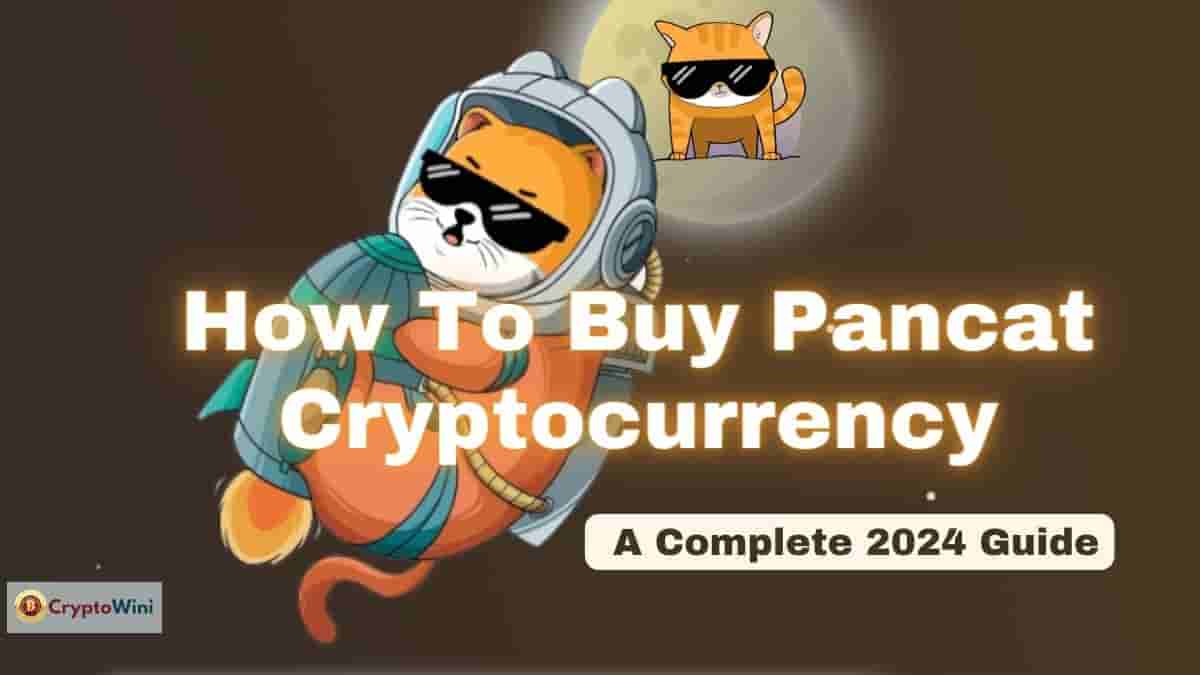 How to Buy Pancat Cryptocurrency (Pancat Coin) : A Complete 2024 Guide