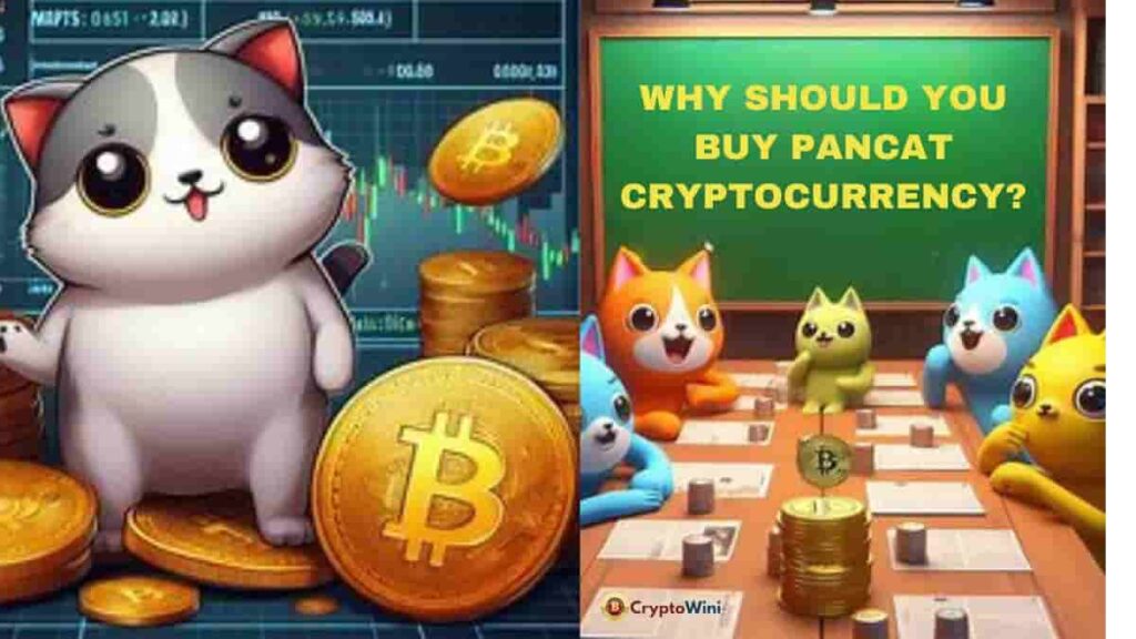Why Buy Pancat Cryptocurrency