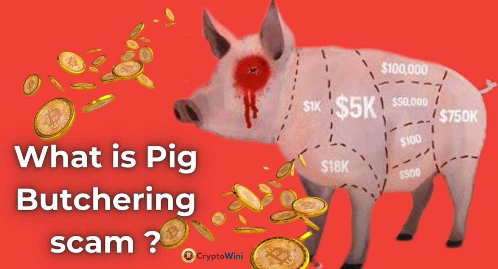 What is Pig Butchering scam ?