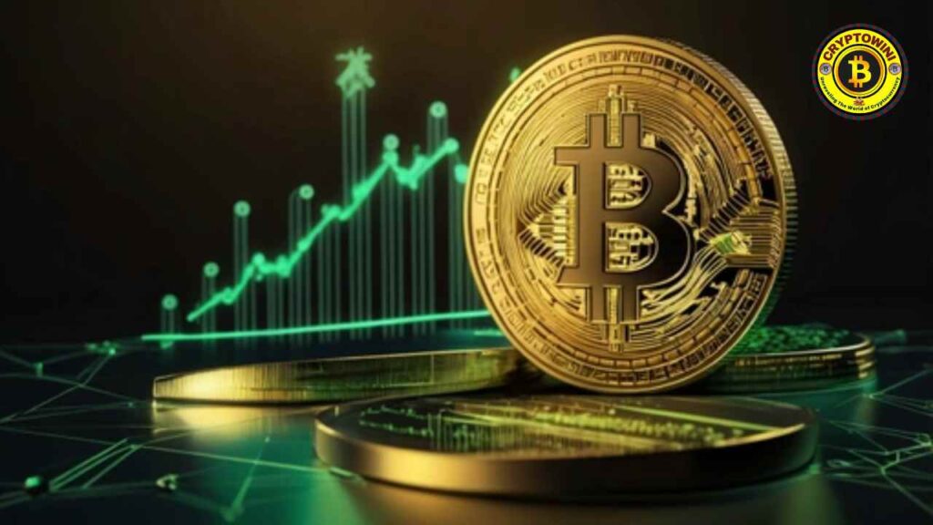 Bitcoin halving impact on market trends