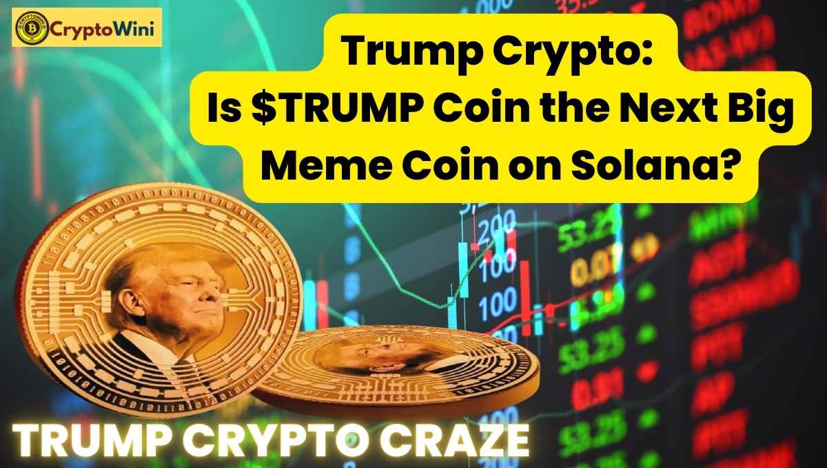 Trump Crypto Craze